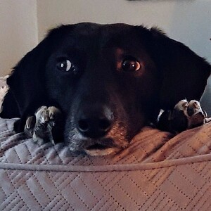 Fundraising Page: Karen Parrish